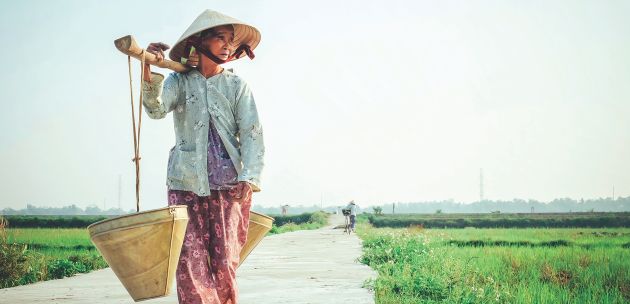 Volite zeleno – Vijetnam je pravo mjesto za vas