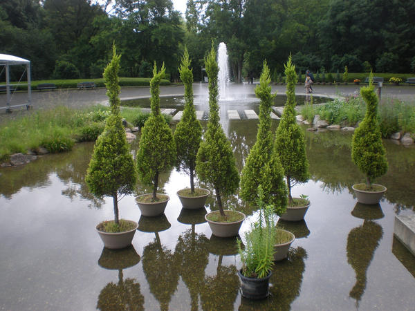 crane-shaped-shrubbery-fountain-kyoto-botanical-garden_l