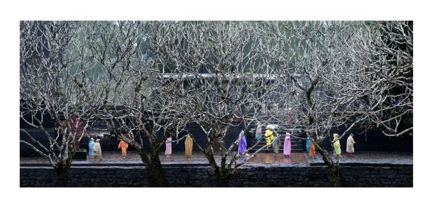 Ralf Peters, Japanische Kirschen (2013) :: Galerie Kornfeld