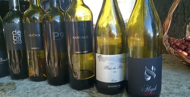 bibic-vina