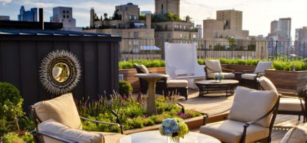pet-surrey-hotel