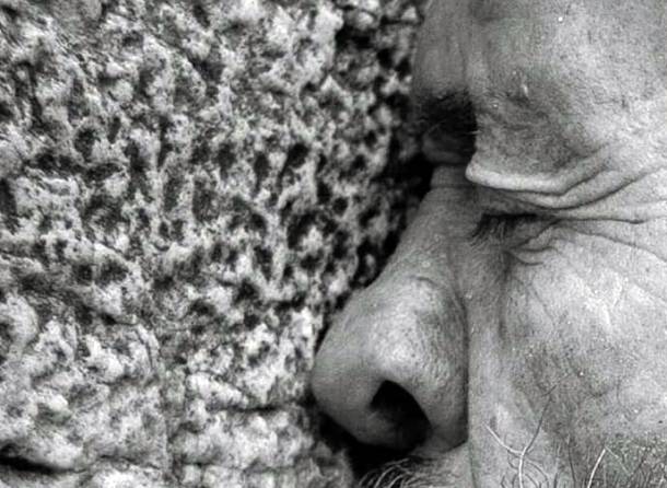 mario-topic-izlozba-1