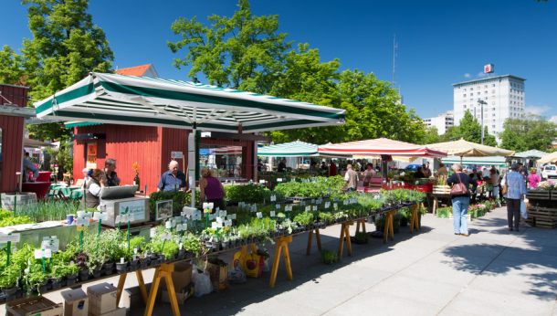 lendplatz-markt-5