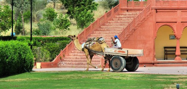 Rajasthan ili kako je zovu Zemlja kraljeva
