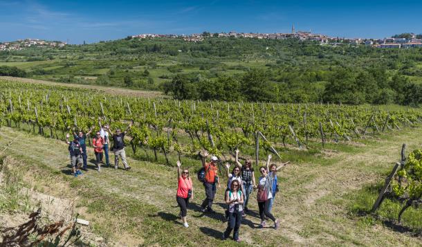 istria-wine-walk-1