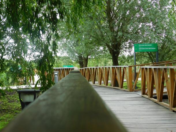 baranja-13