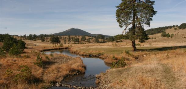 planina-zlatibor