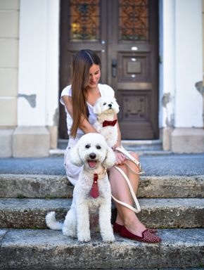 dawg-swag-4