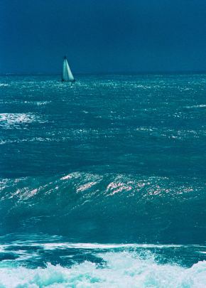 dragan-kurucic-neverin