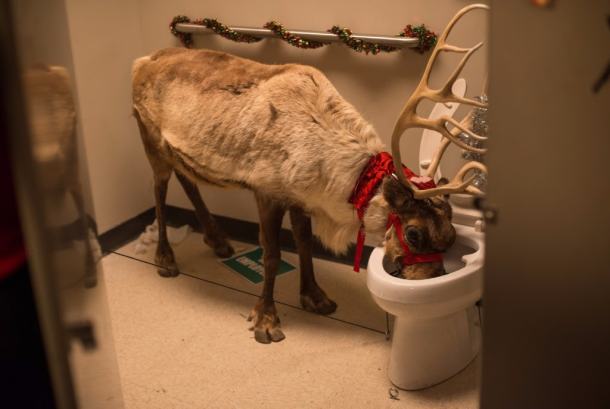 ludi-bozic-u-uredu-1