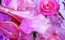 9. PINK DAY festival donosi ružičasta vina u kojima ćete uživati