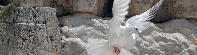 Izrael jedna od svjetskih destinacija koje se nalaze na popisu mnogih putnika i pustolova