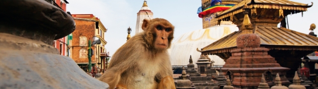 Nepal zemlja na krovu svijeta – od Himalaja do milijunskog glavnog grada Kathmandua