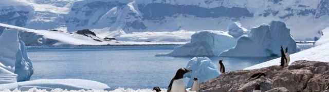 Luda Antarktika i zanimljivosti koje će vas iznenaditi