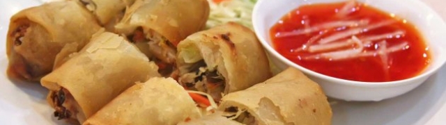 Chinese spring rolls