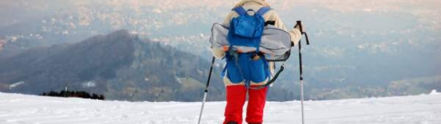 Muški Wish kofer za skijanje