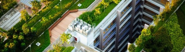 Otkrili smo urbane zelene krovove koji oduševljavaju umjetnike, arhitekte i stanovnike gradova
