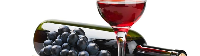 Jagode, vino i ostale kombinacije
