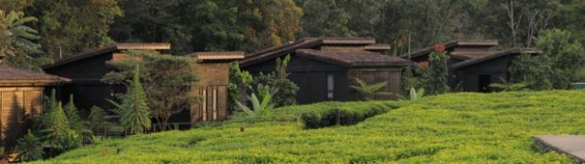 Resort Rwanda:Nyungwe Forest Lodge