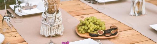 Što ponijeti u berbu grožđa? Donosimo popis stvari za savršeni dan u vinogradu