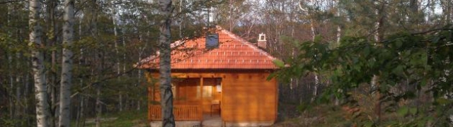 Drvena kuća – trend koji je sve traženiji u izgradnji vlastitog doma