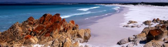 Tasmanija australski otok čiji tasmanski vrag uživa u netaknutoj prirodi