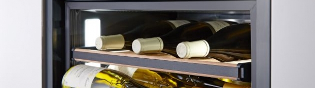 Hladnjak za vino: savršenstvo uživanja