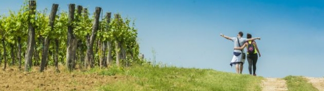 Veliki interes za treći Istria Wine and Walk