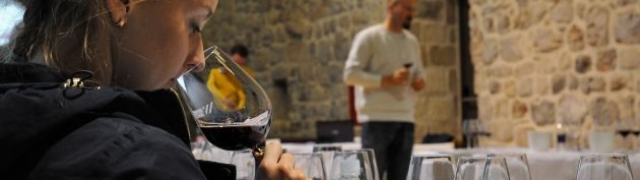 Frankovka Feravina u središtu Dubrovnika