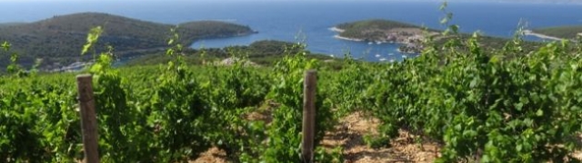 Vinarija Tomić predstavlja svoj Pošip 2016