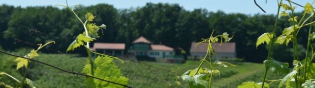 Feričanačka kapljica inspirirala i Franza Liszta