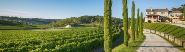 Vinarija Kabola ušla u uži izbor za Luxury Lifestyle Awards 2018.