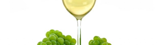 Vinarija Krauthaker predstavlja Pinot sivi 2016.