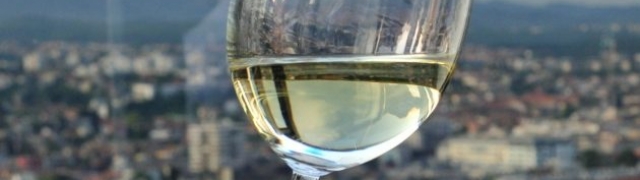 Feravino predstavlja Graševinu Dika nove berbe