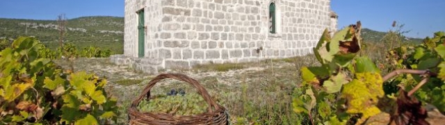 Kad vina svjedoče o ljepoti dalmatinskog juga