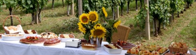 Pjenušavi srijemski doručak u najistočnijem vinogradu Hrvatske