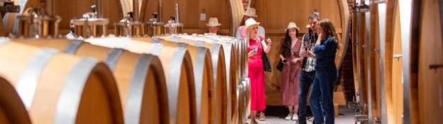 U slavonskim vinogradima predstavljena nova vina branda Enosophia