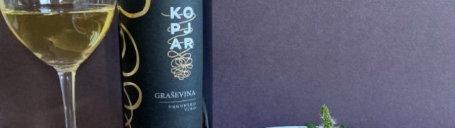 Predstavljamo moćnu Kopjar graševinu 2020. u Top 5 bijelih vina Hrvatske