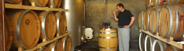 Vinarija Miklaužić sjajna zvjezda u ekološkoj proizvodnji Škrleta