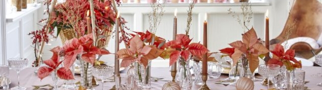 Cvjetni ukrasi za stol s božićnim zvijezdama