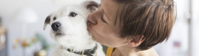 5 savjeta za putovanje s kućnim ljubimcima