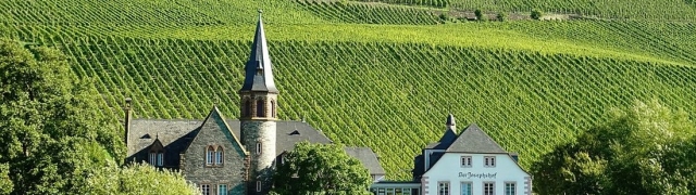 Upoznajte njemačke sorte vina i njene vinske predikate