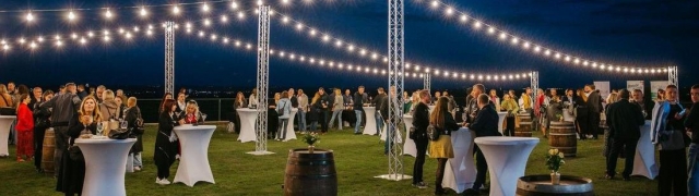 Najavljen do sada neviđeni spektakl na Dunav Wine Festivalu u Iloku