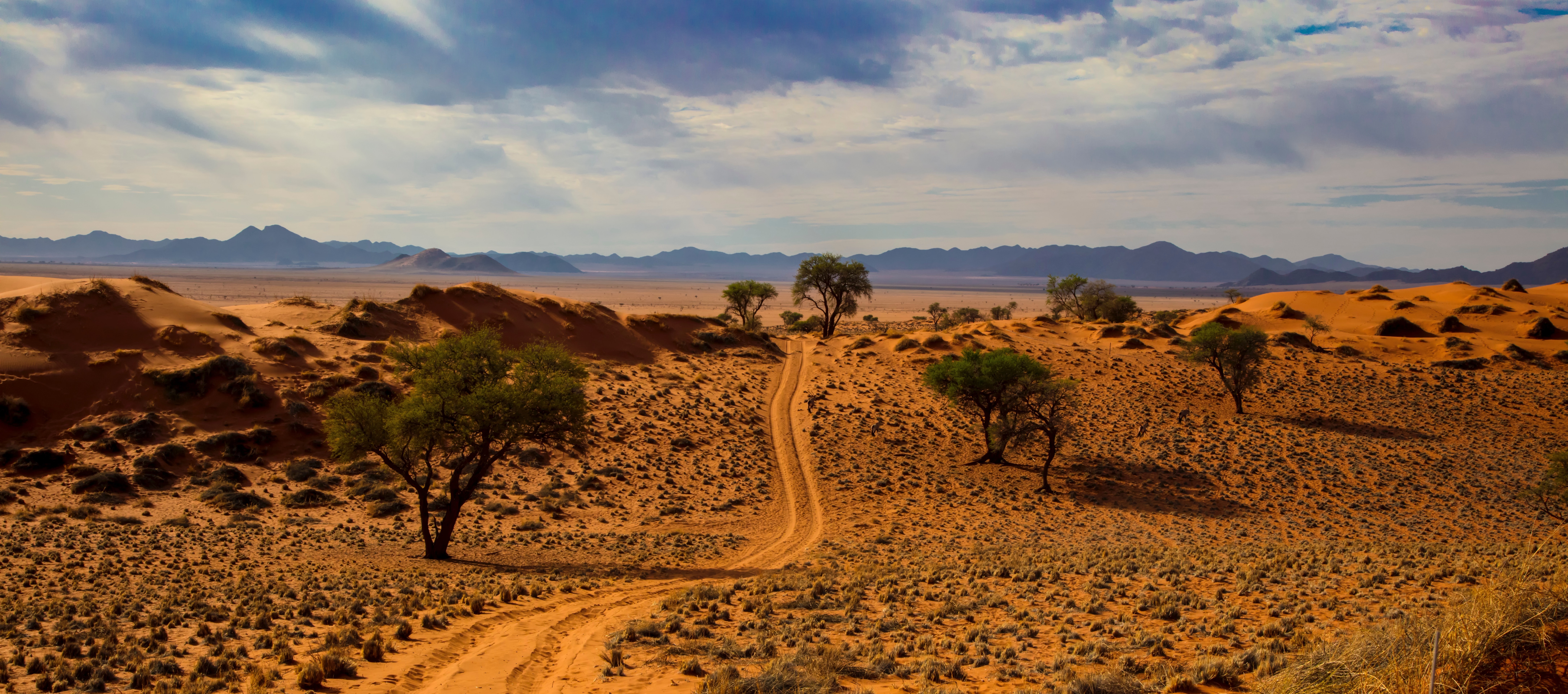 afrika pustinja namib