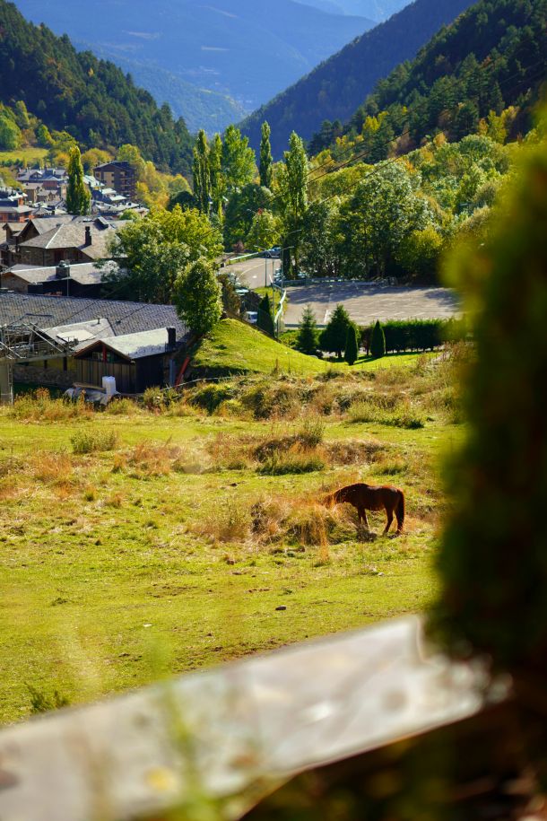 andorra knezevina europa