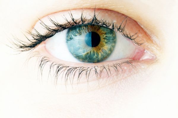 Iridologija metoda otkrivanja stanja organizma iz šarenice oka