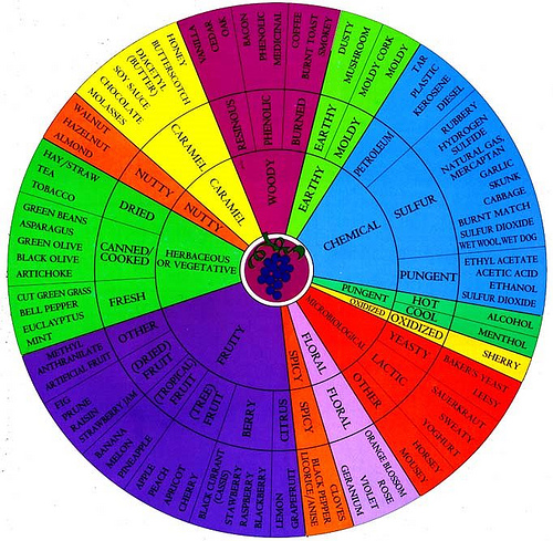 wine-aroma-wheel