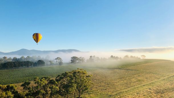 dolina vinograda u australiji