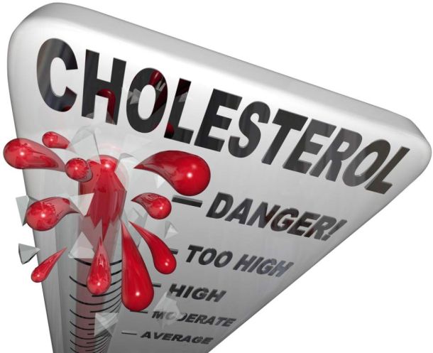 kolesterol zasicene masne kiseline