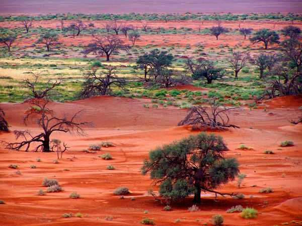 Nacionalni park Namib-Naukluft_